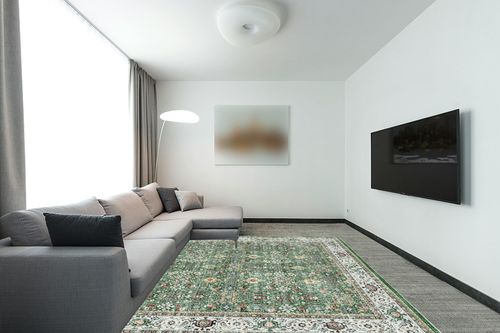 befbee 8x10 Area Rugs for Living Room- Ultra-Thin Stain Resistant Washable Rug, Non-Slip Backing Rugs, Large Room Decor Area Rug (Grass Green,8'x10') in Modern Living Room with Grey Couch