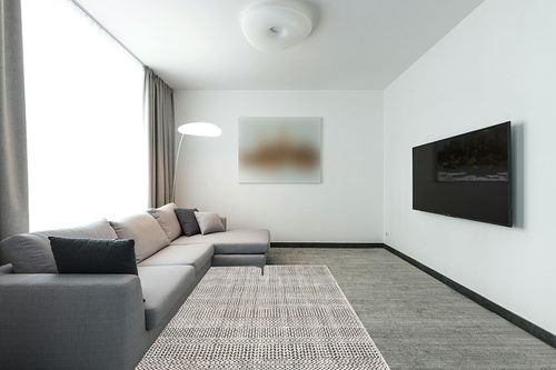 Weinert Oriental Black/White Area Rug Union Rustic Rug Size: Rectangle 5' x 8' in Modern Living Room with Grey Couch