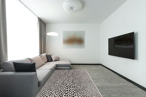 Unique Loom Outdoor Collection Area Rug - Cape Town (5' 3' x 8' Rectangle, Black/ Ivory) in Modern Living Room with Grey Couch