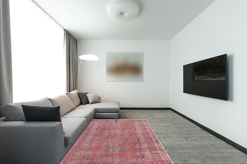 Adiva Rugs Machine Washable Area Rug with Non Slip Backing for Living Room, Bedroom, Bathroom, Kitchen, Printed Vintage Home Decor, Floor Decoration Carpet Mat (RED/Brown, 5' x 7') in Modern Living Room with Grey Couch