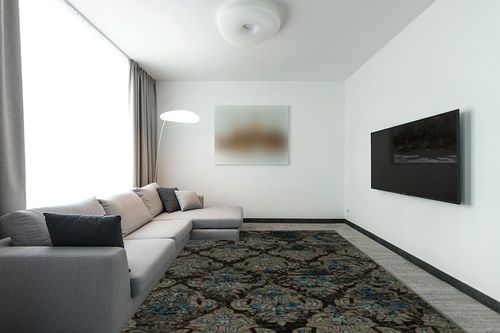 Linon Vintage Collection Grey Clara 9' x 12' Area Rug in Modern Living Room with Grey Couch