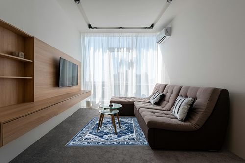 Zacoo Boho Area Rug 5x7 Washable Rug Vintage Soft Navy Blue Medallion Distressed Print Carpet Oriental Non Slip Non-Shedding Low-Pile Throw Thin Bedroom Rugs for Living Room Dining Room in Grey Living Room with Brown Couch
