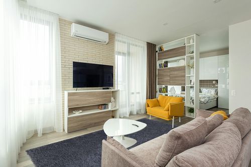 Super Soft Plush Large Rug in Light Modern Living Room with TV