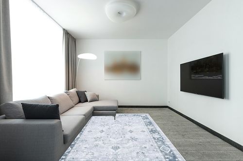 SAFAVIEH Arizona Collection Area Rug - 6' x 9', Light Grey & Grey Green, Machine Washable & Slip Resistant, Distressed Design, Ideal for High Traffic Areas in Living Room, Bedroom, Dining (ARZ118F-6) in Modern Living Room with Grey Couch