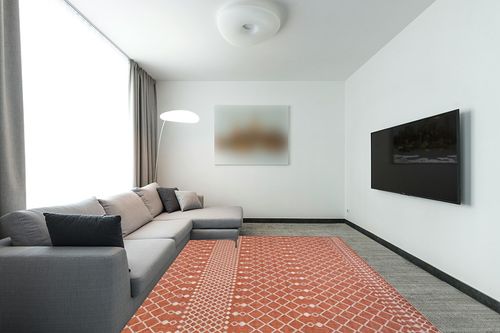 Nourison Positano Indoor/Outdoor Terracotta 8' x 10' Area Rug, Easy Cleaning, Non Shedding, Bed Room, Living Room, Dining Room, Backyard, Deck, Patio (8x10) in Modern Living Room with Grey Couch
