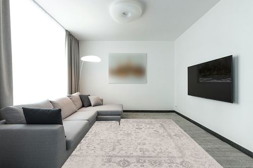 ‎Ivory/Silver ‎Traditional ‎Non Slip ‎Living Room ‎Area Rug in Modern Living Room with Grey Couch