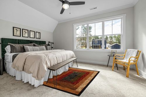 Black/Brown Royalty Vega Fade Resistant, Stain Resistant Area Rug in Grey Traditional Bedroom with King Bed