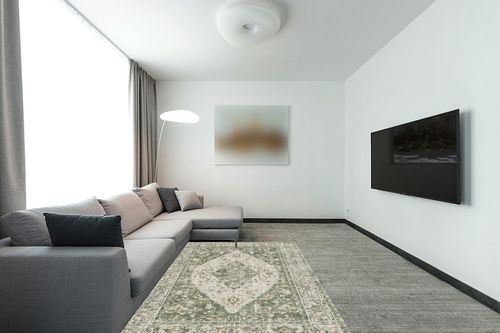 Valenrug Washable Rug 5x7 - Ultra Thin Green Collection Area Rug, Stain Resistant Non-Skid Rugs for Living Room, Antique Bedroom Rugs(5'x7', TPR26-Green) in Modern Living Room with Grey Couch