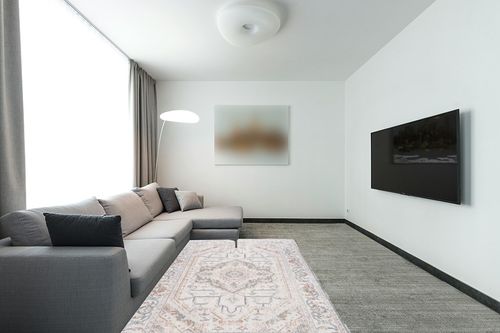 SAFAVIEH Baltimore Collection Area Rug - 5'3" x 7'6", Light Grey & Rust, Machine Washable, Shabby Chic Design, Ideal for Living Room, Bedroom, Dining Room (BAL854F-5) in Modern Living Room with Grey Couch
