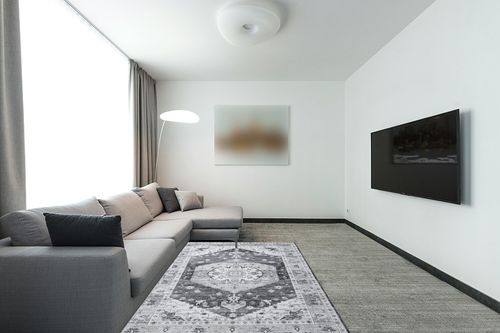 Zacoo Washable Rug Boho Rug Vintage 5x7 Area Rugs for Living Room Bedroom Dining Room Distressed Non Slip Rugs Carpet Non Shedding Oriental Rug Tribal Area Rugs Room Decor Grey in Modern Living Room with Grey Couch