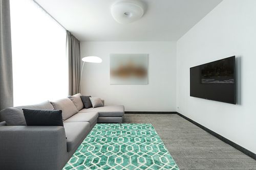 Lahome Washable 5x7 Living Room Rug, Green Large Rug for Bedroom Geometric Mat with Trellis, Soft Modern Non Slip Low Pile Accent Carpet for Home Office Nursery in Modern Living Room with Grey Couch