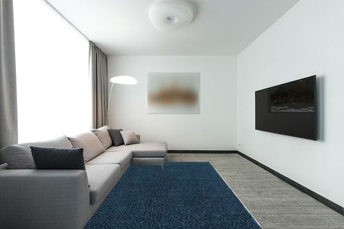 Everyday Shag Rug 6'x9' in Modern Living Room with Grey Couch