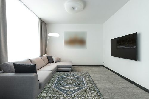 Rofee Living Boho Area Rug 5x7 Washable Olive Green Blue Vintage Distressed Soft Accent Floor Carpet for Living Room Bedroom in Modern Living Room with Grey Couch