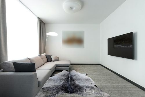 Sunshine Cowhides Genuine Salt and Pepper Cowhide Rug - Luxurious Cow Rug for Bedroom, Living Room, and Home Decor Enthusiasts - Masterpiece of Style and Functionality - 6x7ft (180x210cm) in Modern Living Room with Grey Couch
