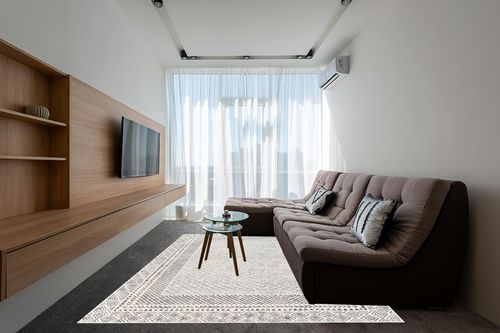 Beige Transitional Non Slip Living Room Area Rug in Grey Living Room with Brown Couch
