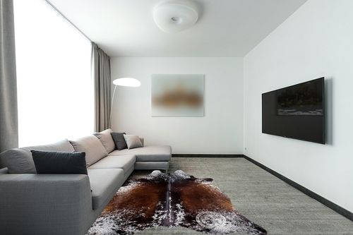 Sunshine Cowhides Salt and Pepper Tricolor Cowhide Rug Approx 5ft x 7ft 150cm x 210 cm in Modern Living Room with Grey Couch