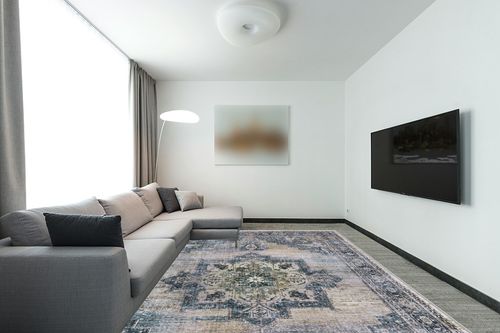 Area Rugs for Living Room: 9x12 Rug for Bedroom Machine Washable with Non Slip Backing Non Shedding, Boho Medallion Floral Large Carpet for Dining Room Nursery Home Office Indoor Decor Gray/Blue in Modern Living Room with Grey Couch