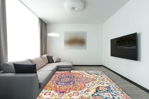 Orange Traditional Stain Resistant Living Room Area Rug in Modern Living Room with Grey Couch