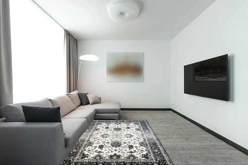 VK VK·LIVING Washable Rug 5x7 Area Rug for Living Room Bedroom Rug Lightweight Large Area Rug Thin Vintage Rug No Smell Machine Washable Rug for Dining Room Home Kitchen, Darkgrey&Olive Green in Modern Living Room with Grey Couch