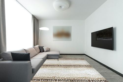 Antelope Handmade Area Rug Cheetah Hand Tufted Wool Animal Print Beige 3x5 5x8 8x10 9x12 2.5x8 (5 feet x 8 feet) in Modern Living Room with Grey Couch