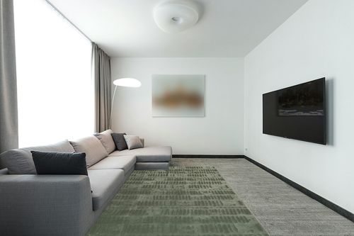 Revival Rugs Shell 6'7"x9' Machine Washable Area Rug for Living Room Bedroom - 100% Recycled Oeko-TEX Certified, Medium Pile, Green in Modern Living Room with Grey Couch