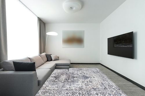Syalife Washable Rug Vintage Area Rugs, 8'x 10' Living Room Rug with Non Slip Backing, Ultra-Thin Medallion Distressed Non-Shedding Boho Rug, Vintage Floor Mat Indoor Rug (FG10-Grey, 8'x 10') in Modern Living Room with Grey Couch