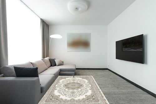 Area Rug Living Room Rugs: 5x7 Washable Boho Carpet for Bedroom Under Dining Table Large Farmhouse Floral Distressed Indoor Non Slip Decor Home Office Nursery - Beige in Modern Living Room with Grey Couch