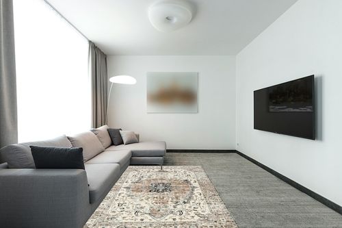 befbee 5x7 Area Rugs for Living Room, Stain Resistant Neutral Washable Rugs for Dining Room, Floral Vintage Non-Slip Thin Large Size Area Rug (Brown/Grey) in Modern Living Room with Grey Couch