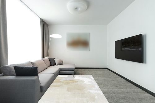 Eroyat Modern Indoor Thin Area Rug,5x7 Feet Large Living Room Bedroom Rug,Light Luxury Entryway Kitchen Rug,Non-Slip Non-Shedding Low Pile Easy Clean Home Decor,Beige in Modern Living Room with Grey Couch