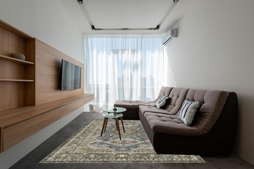 Rugland 8x10 Area Rugs - Stain Resistant Washable Rug, Anti Slip Backing Rugs for Living Room, Vintage Tribal Area Rugs(TPR07-Green, 8'x10') in Grey Living Room with Brown Couch