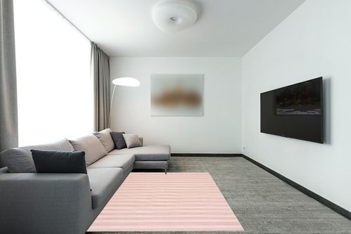 Safavieh Hampton Htn231S Terracotta Rug in Modern Living Room with Grey Couch