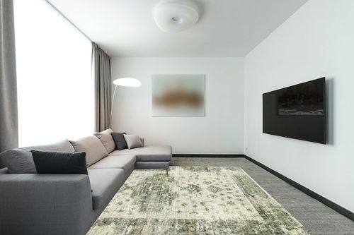 Valenrug Washable Rug 8x10 - Ultra Thin Green Collection Area Rug, Stain Resistant Non-Skid Rugs for Living Room, Antique Bedroom Rugs(8'x10', TPR35-Green) in Modern Living Room with Grey Couch