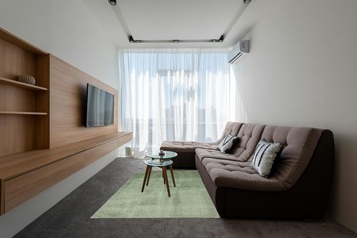 Unique Loom Studio Solid Shag Collection Urban Modern Super Soft & Plush Area Rug, 5 ft x 8 ft, Sage Green in Grey Living Room with Brown Couch
