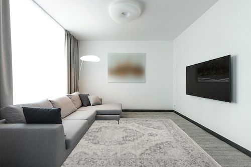Nourison Tranquil Persian Ivory/Grey 8' x 10' Area -Rug, Easy -Cleaning, Non Shedding, Bed Room, Living Room, Dining Room, Kitchen (8x10) in Modern Living Room with Grey Couch