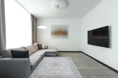 Area Rug Living Room Rugs: 5x7 Large Machine Washable Non Slip Thin Carpet Soft Indoor Luxury Floral Distressed Carpets for Under Dining Table Farmhouse Bedroom Nursery Home Office Multi in Modern Living Room with Grey Couch