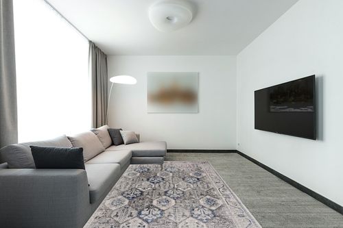 Bloom Rugs Troya Gray/Blue 6x9 Rug - Traditional Persian Area Rug for Living Room, Bedroom, Dining Room, and Kitchen - Exact Size: 6' x 9' in Modern Living Room with Grey Couch