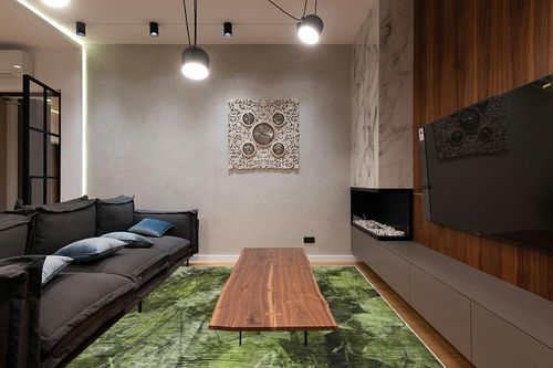 Addison Rugs Chantille ACN560 Green 9' x 12 Indoor Outdoor Area Rug, Stain Resistant, Machine Washable, Non Shedding, Bedroom, Living Room, Dining Room, Kitchen Rug in Dark Wood Living Room with Black Couch