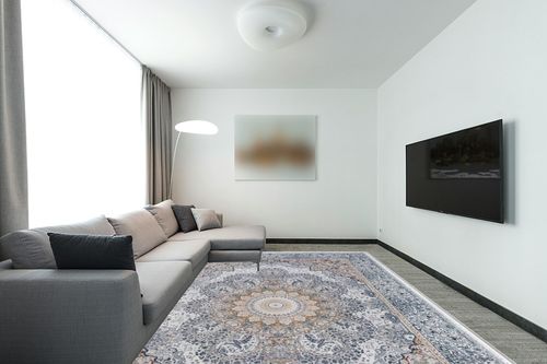 9x12 Area Rug for Living Room: Large Rugs Machine Washable with Non-Slip Backing Non-Shedding Stain Resistant, Boho Carpet for Bedroom Dining Room Nursery Home Office Indoor Decor (Blue/Brown) in Modern Living Room with Grey Couch
