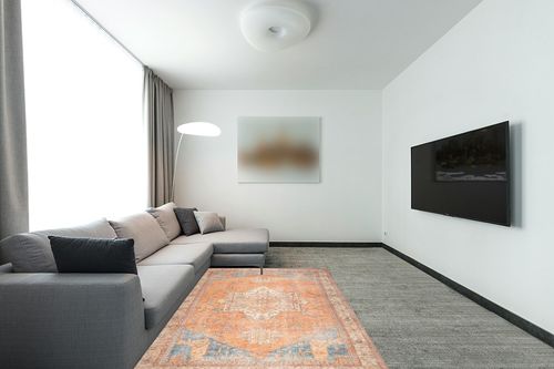 GLN Rugs Stain Resistant Machine Washable Area Rug - Vintage Boho Distressed Aesthetic - Non-Slip Backing - Indoor Floor Home Decor for Bedroom Kitchen Living & Dining Room (5' x 7') in Modern Living Room with Grey Couch