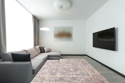 Loloi II Skye Collection SKY-01 GREY / APRICOT, Traditional 7'-6" x 9'-6" Area Rug in Modern Living Room with Grey Couch