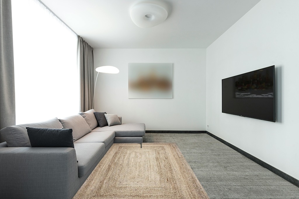 Large Jute Rug Natural Fibers Boho Reversible Carpet (Rectangle, 5x8 Feet) in Modern Living Room with Grey Couch