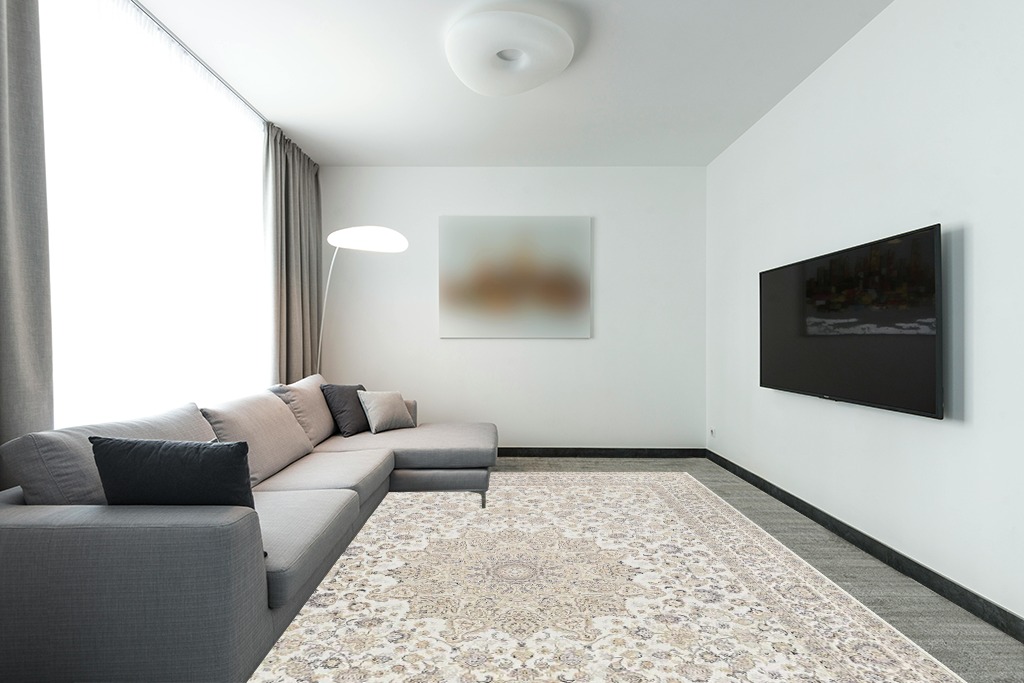 Area Rug Living Room Rugs: 9x12 Large Machine Washable Non Slip Thin Carpet Soft Indoor Luxury Floral Distressed Carpets for Under Dining Table Farmhouse Bedroom Nursery Home Office Beige in Modern Living Room with Grey Couch