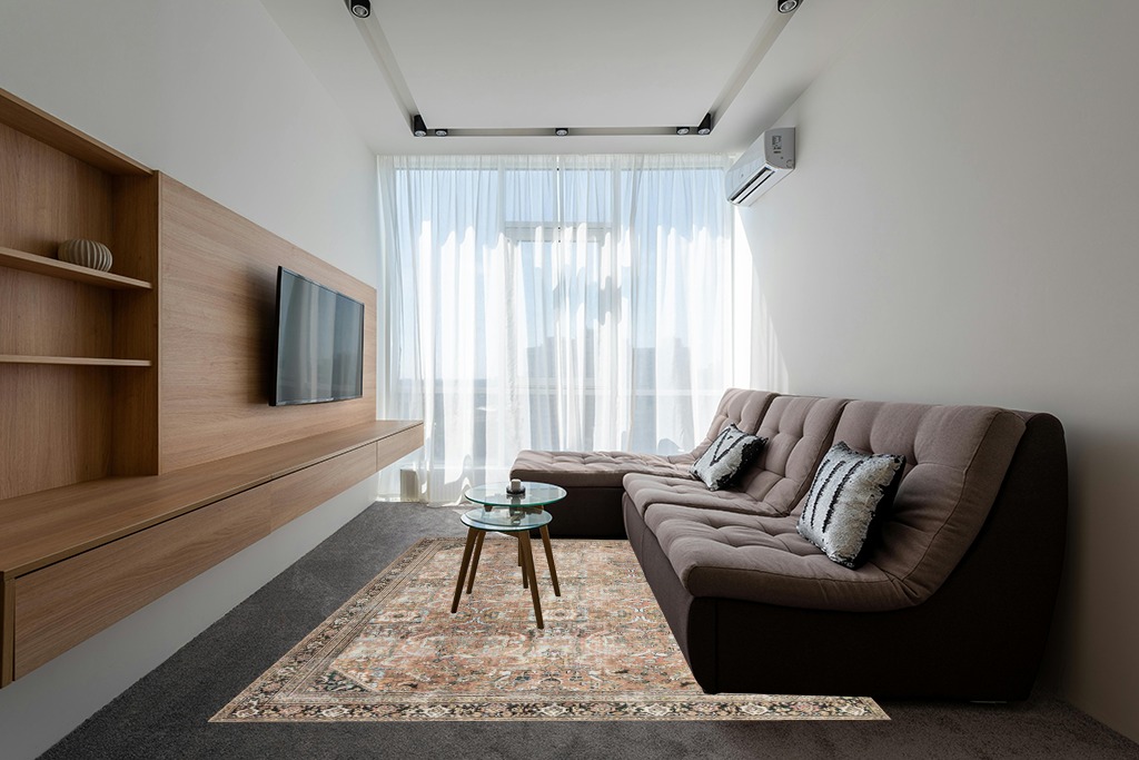 Auburn / Multi Traditional Area Rug in Grey Living Room with Brown Couch