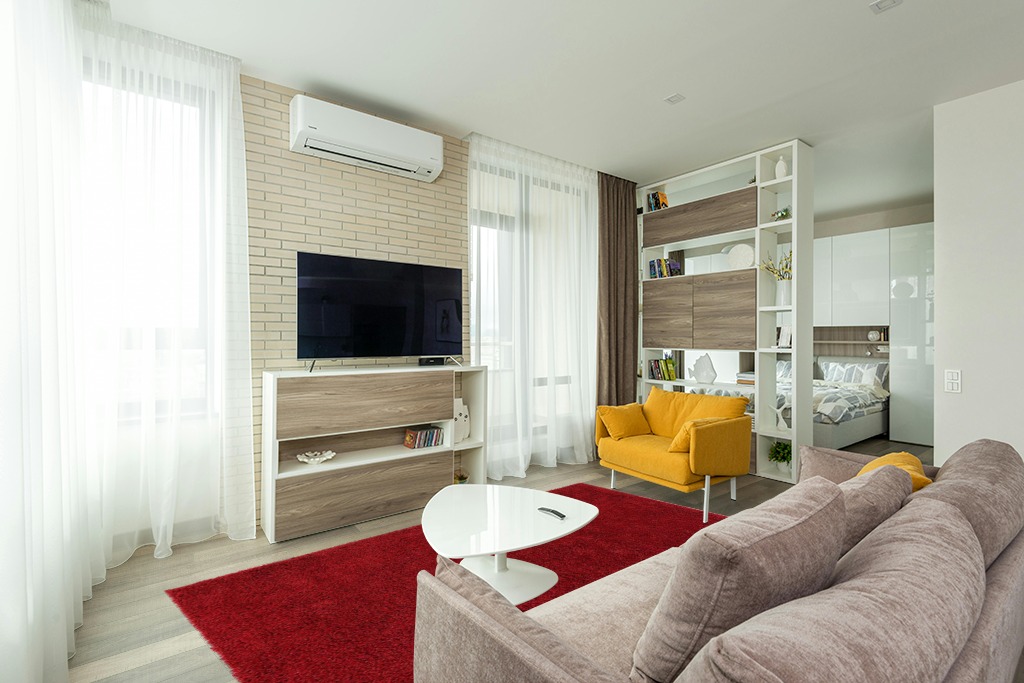 Red Shag Rug 6'x9' in Light Modern Living Room with TV