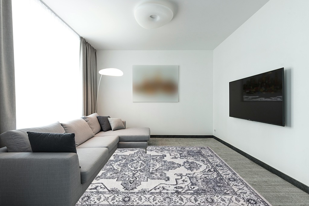 8x10 Washable Large n Distressed Bohemian Non-Slip Area Rugs in Modern Living Room with Grey Couch