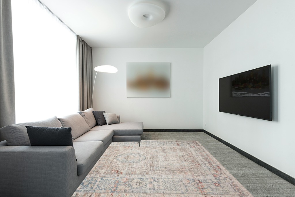 Natural / Ocean Traditional and Distressed Design Living Room Area Rug in Modern Living Room with Grey Couch