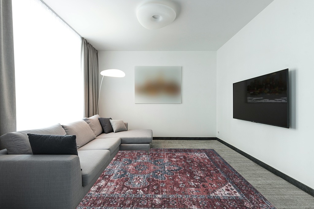 Adiva Rugs Machine Washable Area Rug Terra in Modern Living Room with Grey Couch