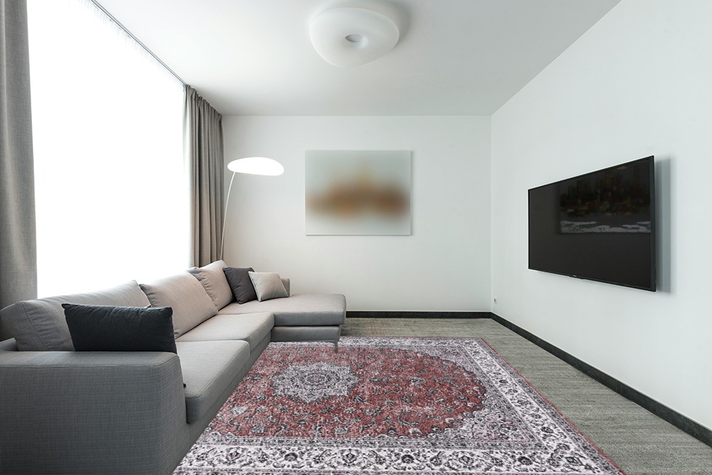 CAROMIO Vintage Area Rug in Modern Living Room with Grey Couch