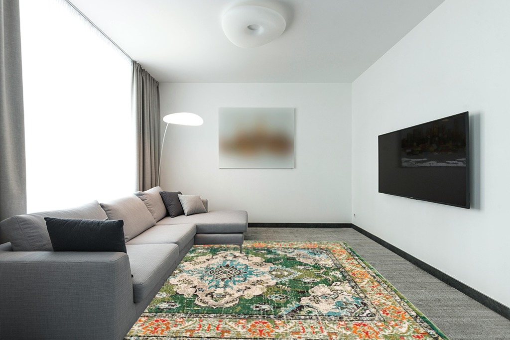 Forest Green/Light Blue Rug Non shedding, Stain Resistant, Pet friendly in Modern Living Room with Grey Couch