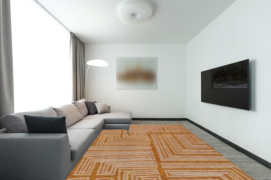 Addison Rugs Chantille ACN1045 Orange 9' x 12' Indoor Outdoor Area Rug, Easy Clean, Machine Washable, Non Shedding, Bedroom, Entry, Living Room, Dining Room, Kitchen, Patio Rug in Modern Living Room with Grey Couch